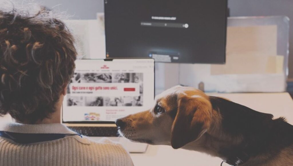 Osservatorio sul pet food