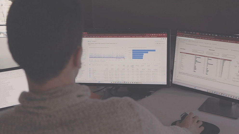 Data analyst